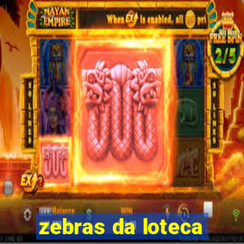 zebras da loteca